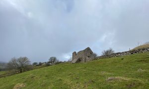 Ruin AONB North Penines Architecture